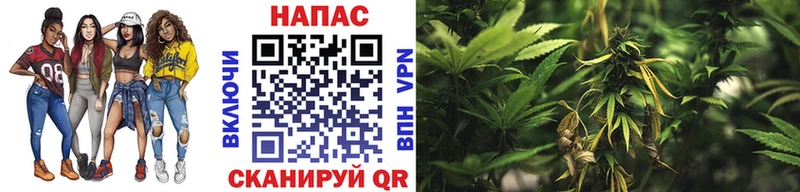 Шишки марихуана AK-47  наркота  Хадыженск 